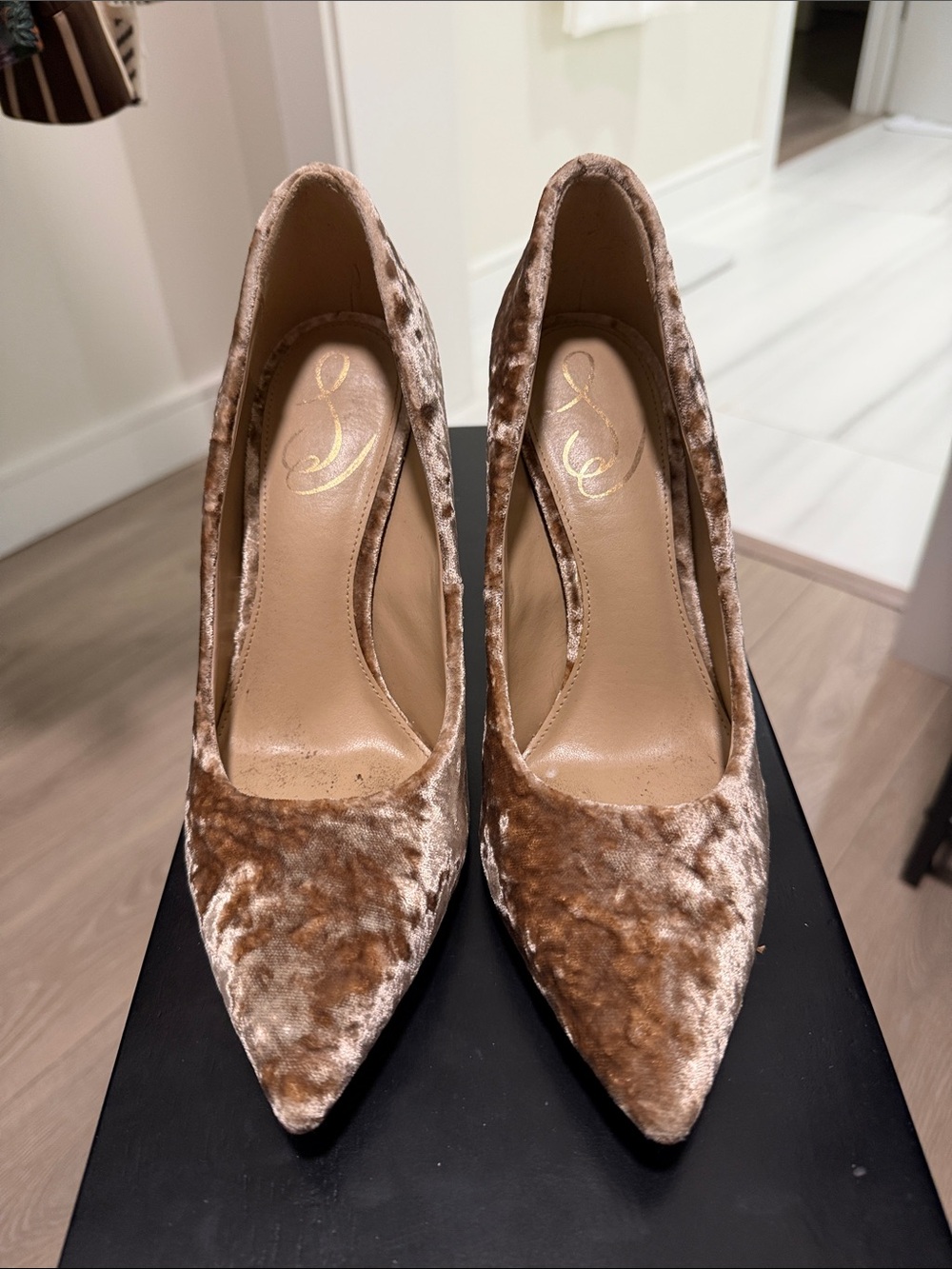 Sam Edelman Hazel Brown Velvet Pointed-Toe Pumps